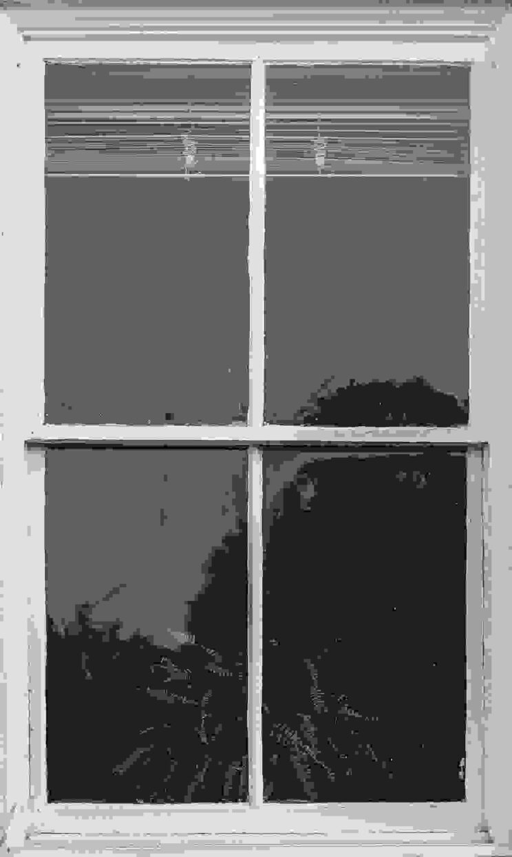 Window